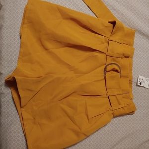 Akira Chicago Shorts